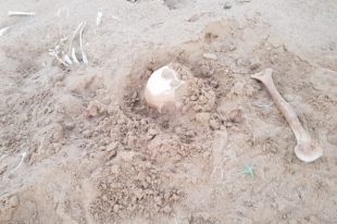 Под Соль-Илецком в поле найдены останки человека