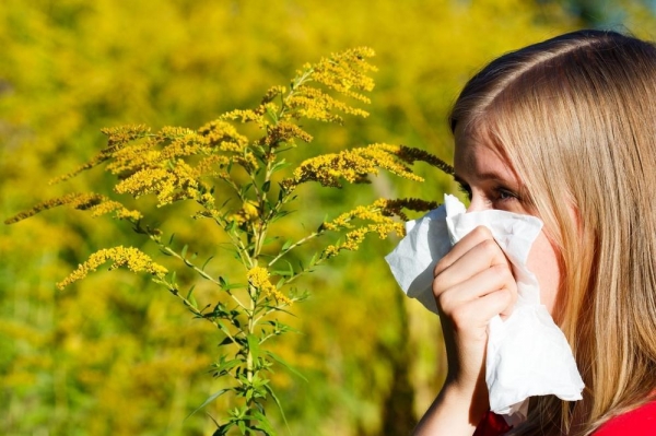 Краснодарский край вошел в топ-5 регионов по числу страдающих аллергией
