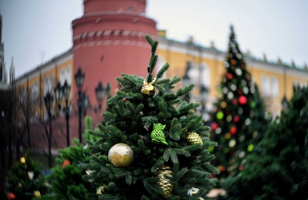 В ГД оценили отмену новогодних гуляний в Москве