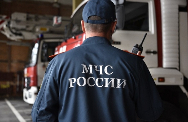 Самоспасатели уберегли от гибели на пожарах почти тысячу москвичей