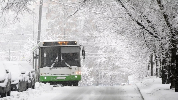 В Москве 31 января изменят маршруты наземного транспорта
