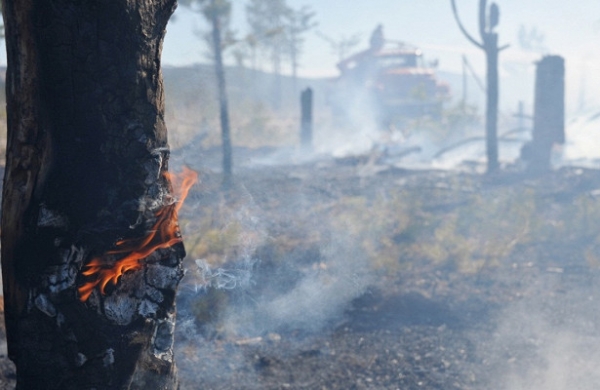 В Госдуме задумали в 10 раз поднять штрафы за лесные пожары