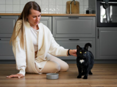 Как правильно выбрать корм для стерилизованных животных: советы и рекомендации