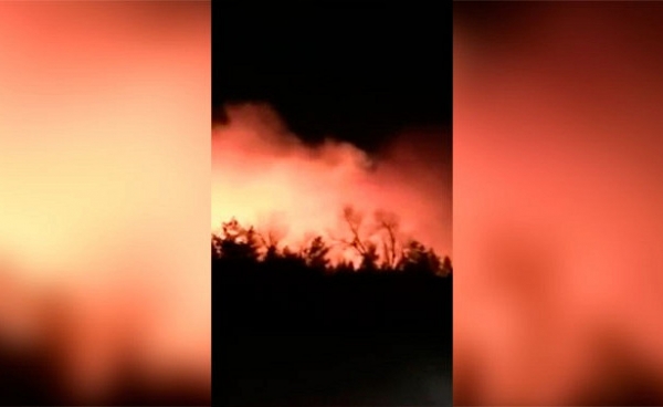 Под Оренбургом произошли крупные пожары в двух дачных поселках